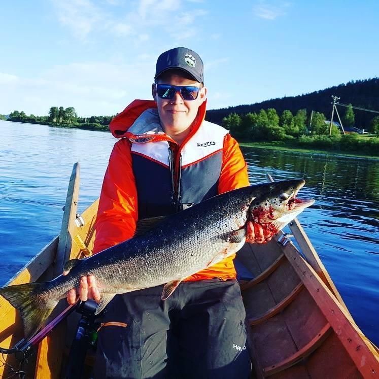 Arctic Camping Finland Hotell Pello Eksteriør bilde